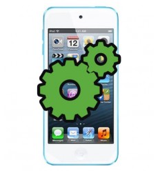 IPOD TOUCH 5TH GENERATION DIAGNOSTIC